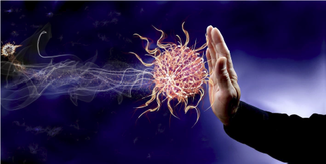 Rebounding on Your Cellerciser® can Help the Immune and Lymphatic Systems